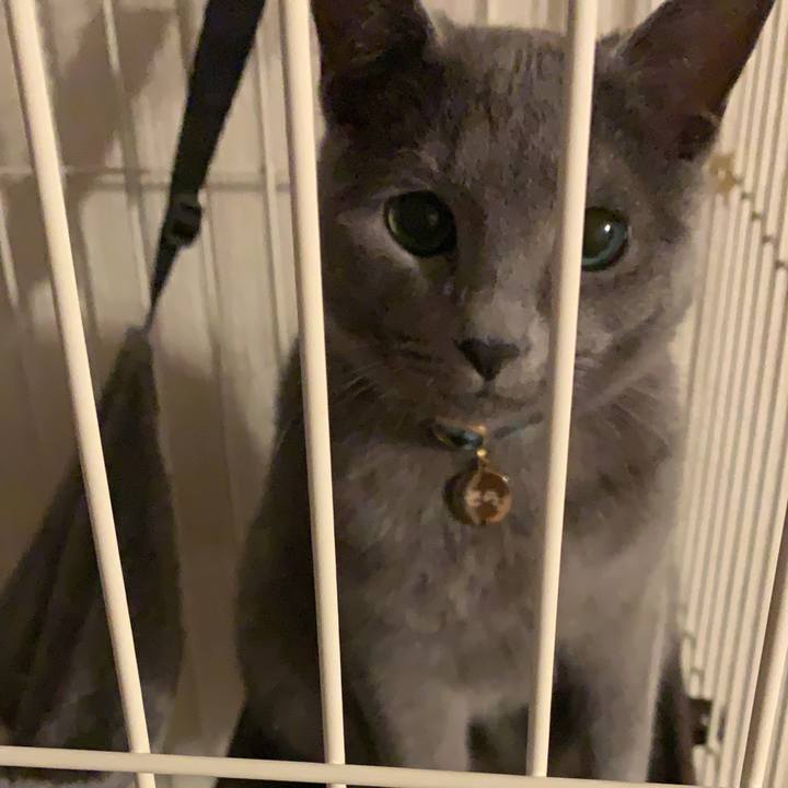 Becec56e 1022 46c3 a523 41ec81ff4076 1580253251827