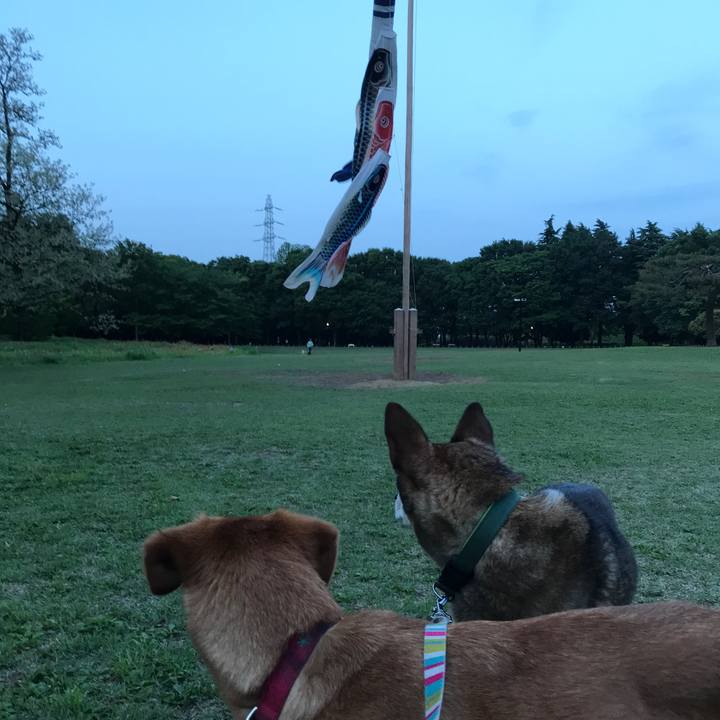 Beced242 e10b 4d6e 8455 7077da6cfbec 1525167198704