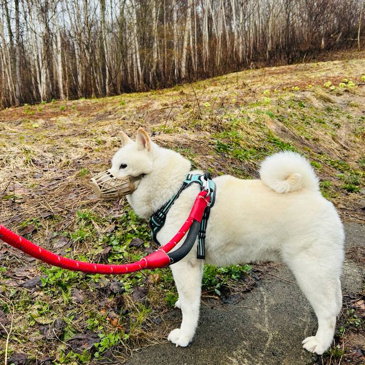 Beced6eb 717c 4b6c ba81 2ddd3df7a633 1745360764372