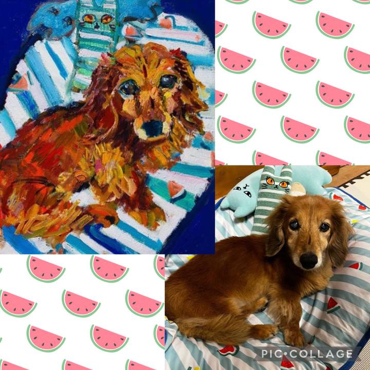 Becedb06 3b79 4fbb 8876 7c34ef9f9462 1660913821523