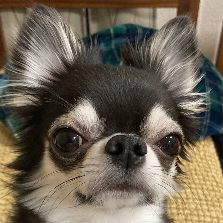 Beceed7d d744 4d54 a994 e2821ea98272 1649513120925