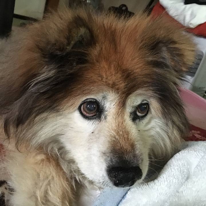 Becf0429 0d4b 4301 9b75 b8faee08fc25 1567816184663