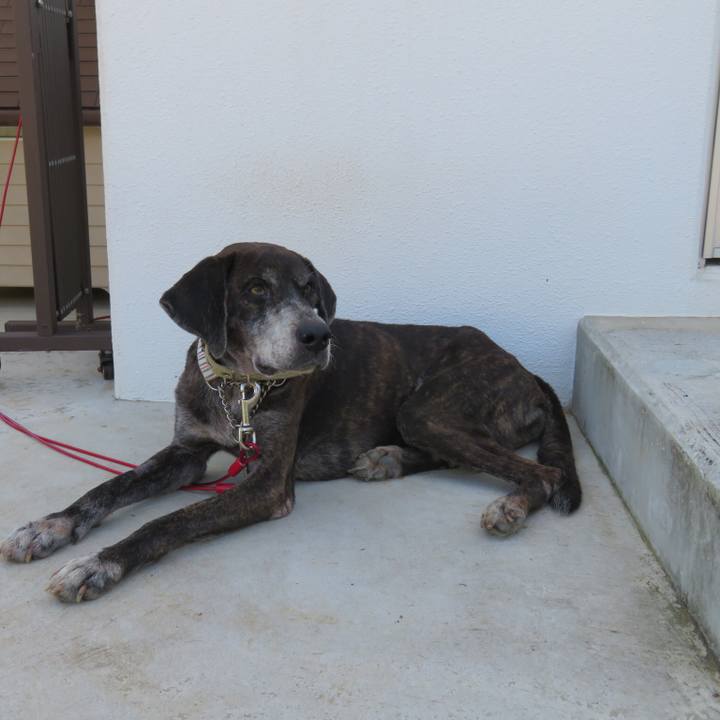 Becf04a2 fa5d 438c bfb2 ec2f3d9bc609 1594121779660