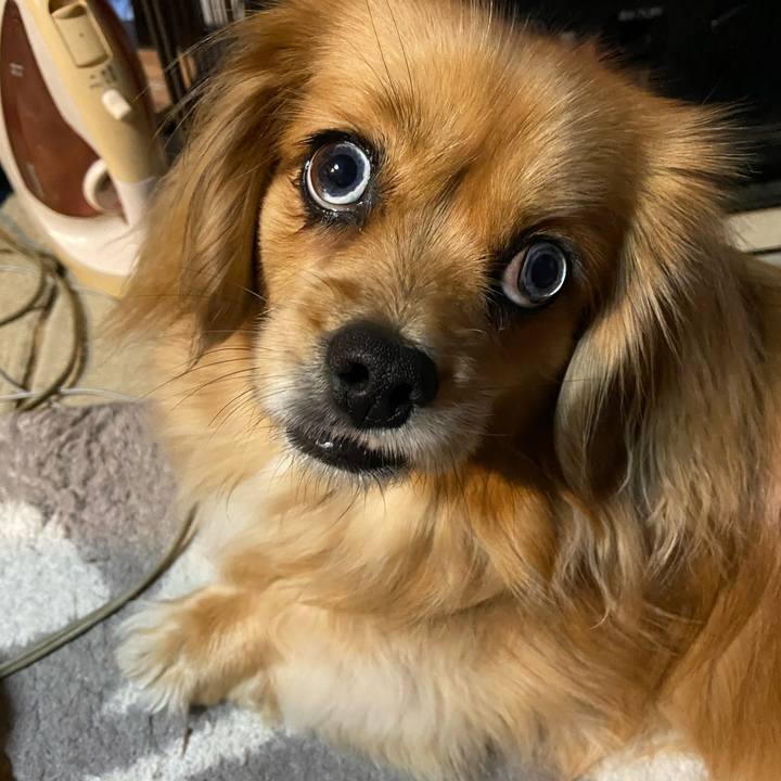 Becf164b e848 421d 9562 3489223946e3 1581630157497