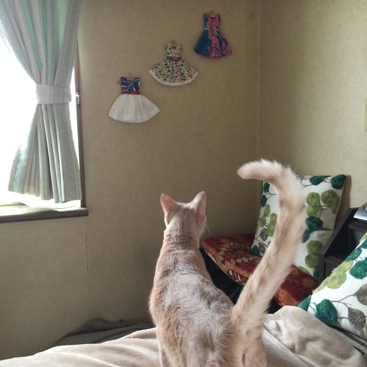 Becf3315 65d8 4cb0 9119 107c8c05e5ee 1540959151300