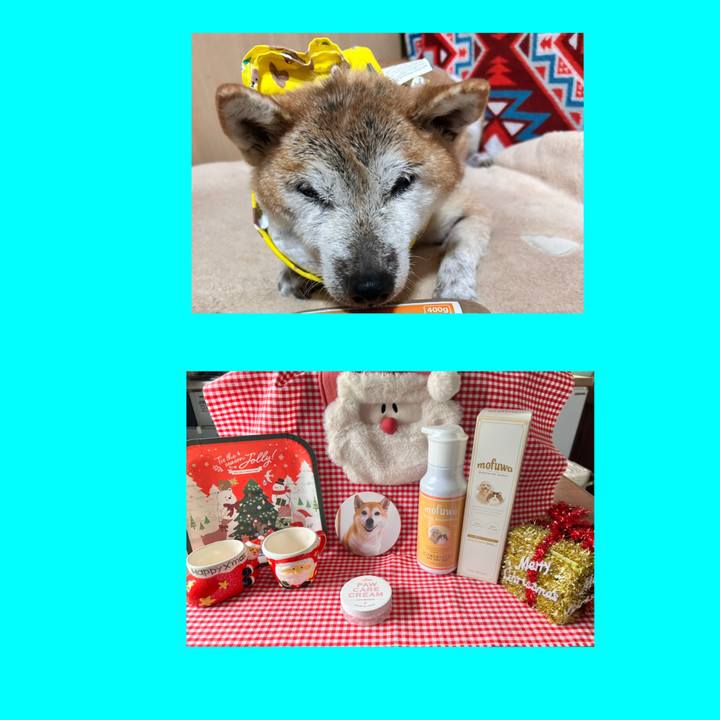 Becf4751 d74e 4f04 b552 0ab97e3a093d 1766633604980