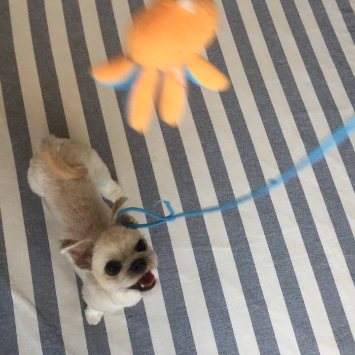 Becf5528 727a 468f a091 c91189e6a7ef 1531138204749