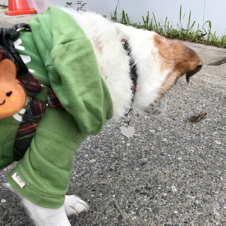 Becf7c63 e0e8 442f a5f9 dffc4438a883 1604020540757