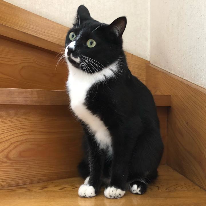 Becf865b e7ac 4cae bf13 8970e9fa31ba 1527137007500