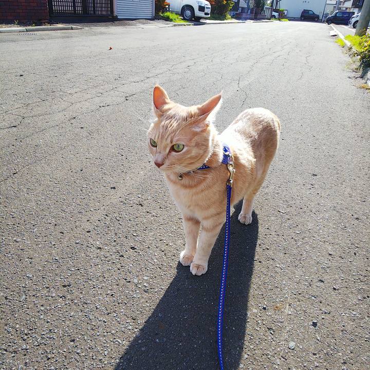 Becfbaab 0152 4008 bbc3 d401c3fbfc08 1602910245211