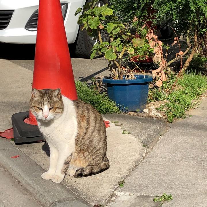 Becfe2ee 71c1 428a 8c8e 5a7d02e16a8b 1554472623115