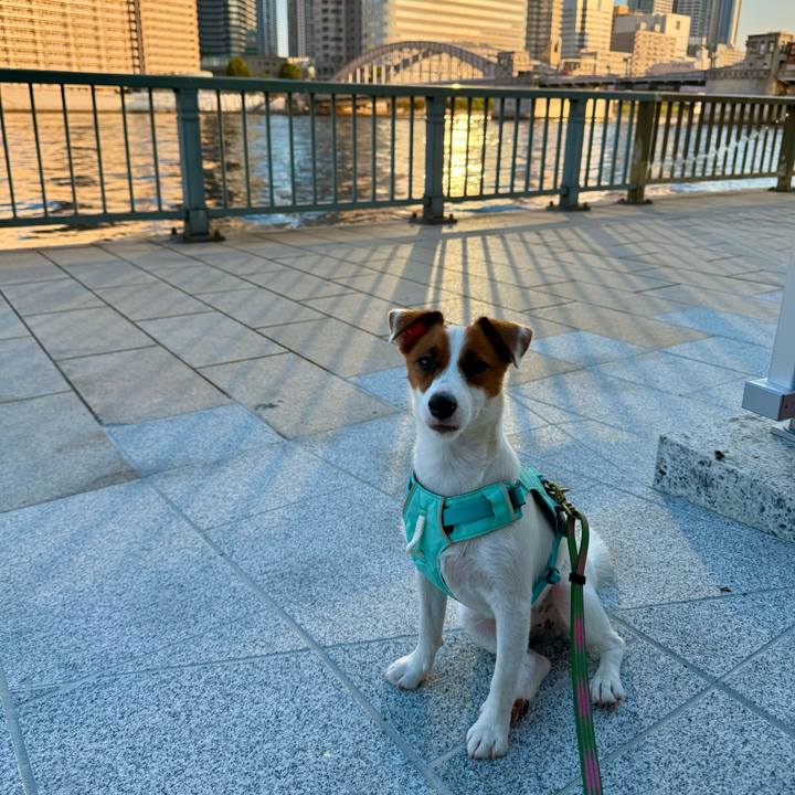 Bed011fe 7558 4aa4 8366 2084ab725f79 1756643813345