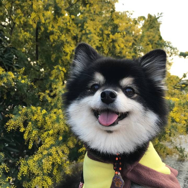 Bed0270b 453f 4456 b38f c937d3715cf7 1521448829864