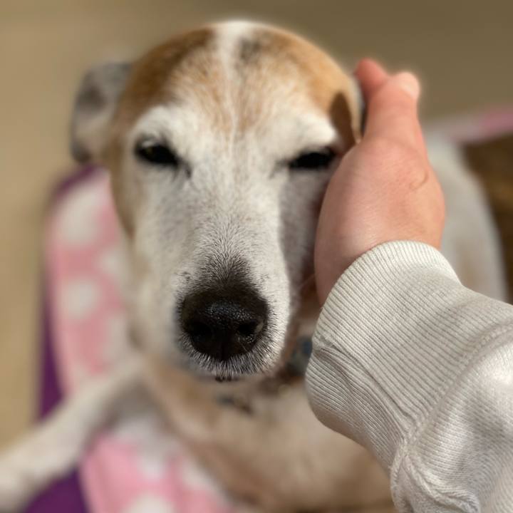 Bed0324a dc92 4686 8061 4e95a7e8ae36 1644928783370