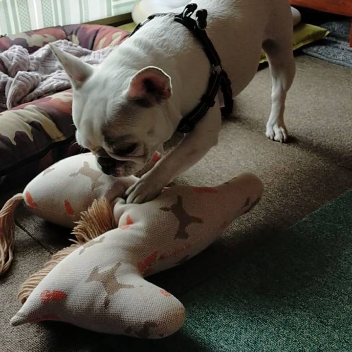 Bed04170 b074 4380 84f1 e6fc6db6cbf8 1650333653575