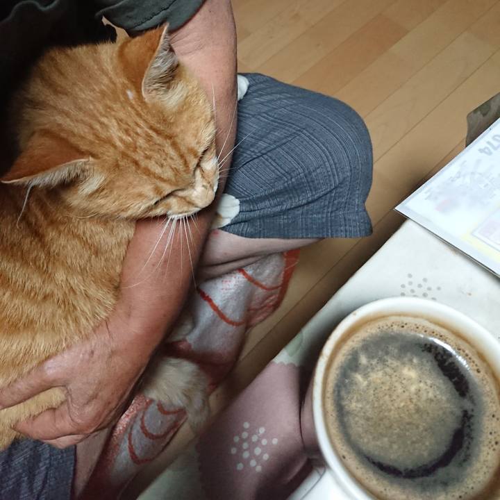 Bed06a91 c87e 45b4 bb73 3cbdaa7f100f 1597005702288