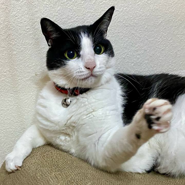 Bed07452 e22f 4d96 9b3d d4565f8d554c 1756684544759