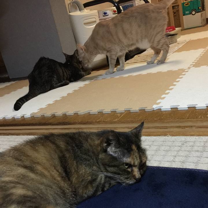 Bed0a1f9 532e 4bfe accb 37cd3b15360f 1534251662107