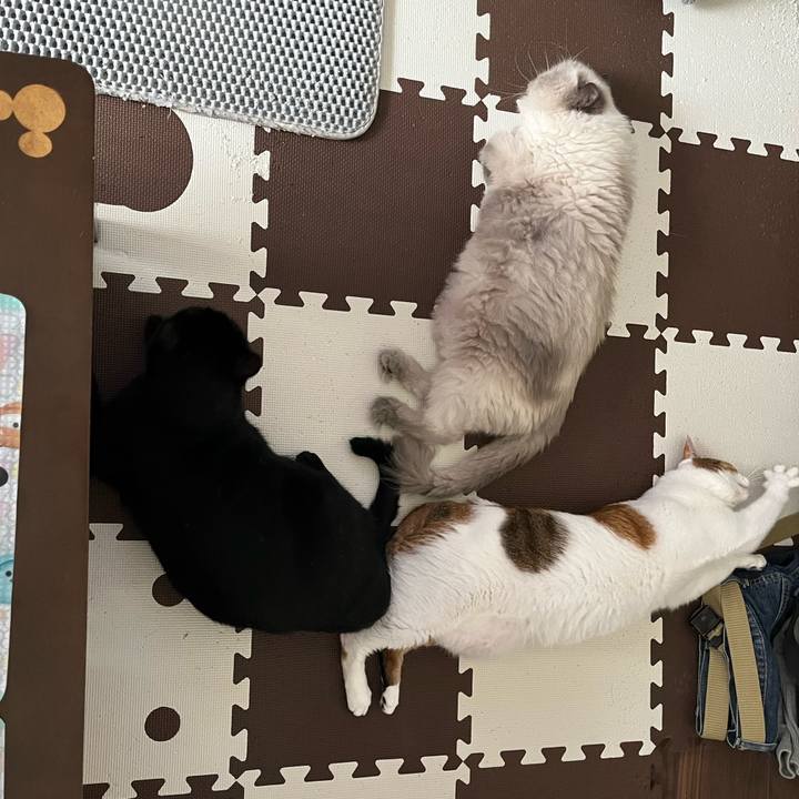 Bed0b3a8 c15c 4f0c 8bf4 c1bf12b8d536 1728191606759
