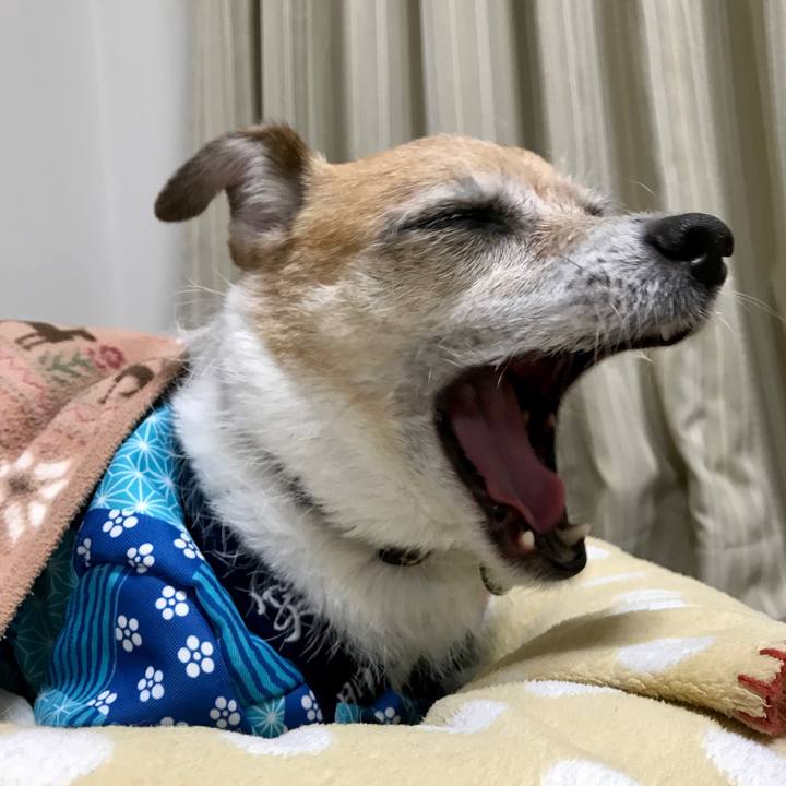 Bed0b435 1956 45a4 8536 0f76cdc04fa2 1611141671043