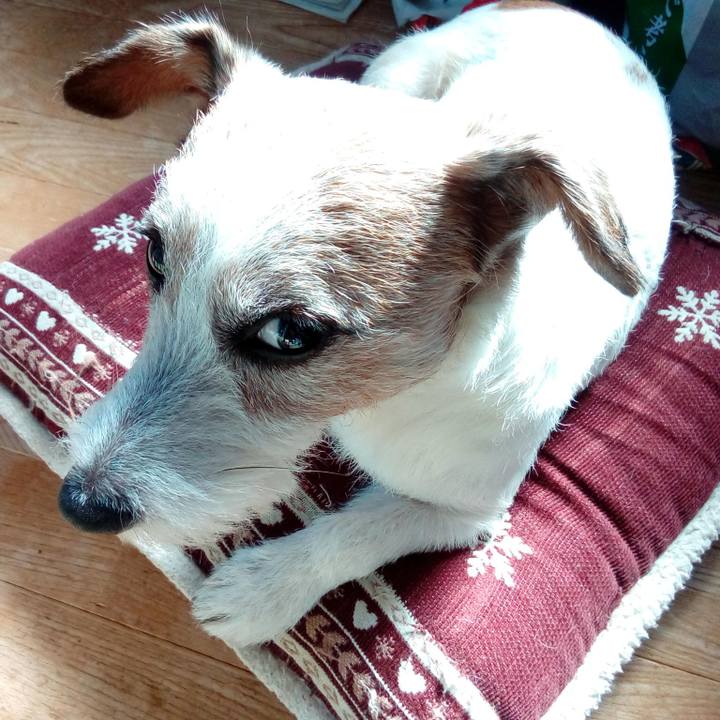 Bed0d531 4891 40c2 8093 95ad9b77b9ff 1572695945182