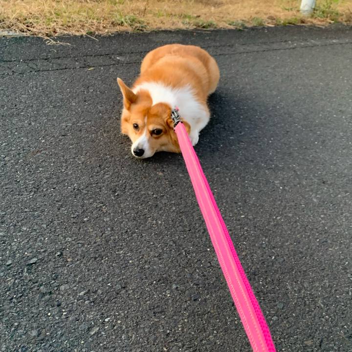 Bed0e7f7 8d02 43b3 8c74 0d8c5708a0b1 1576830046969