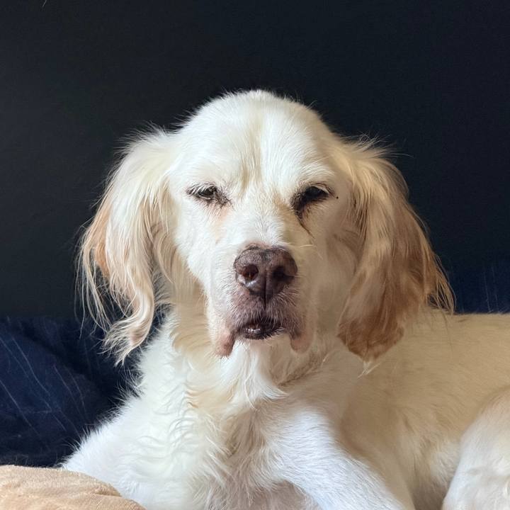 Bed0ff77 de2d 446e b401 f3b51cbdfe04 1761183114804