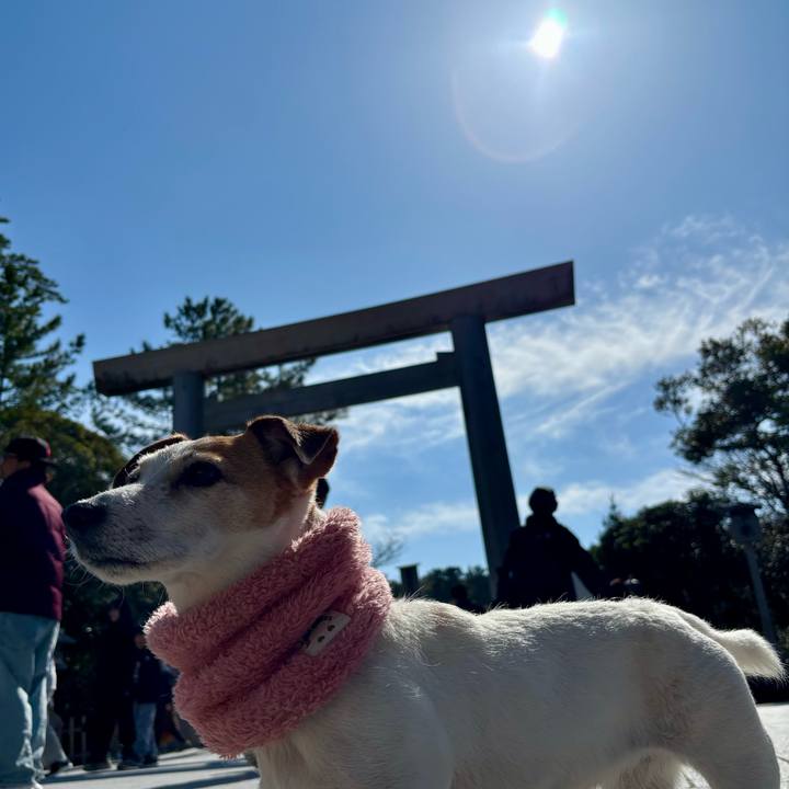 Bed1158b a7dd 4bc9 8883 08eab99c1208 1774268733441