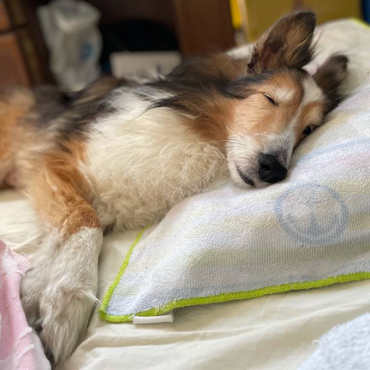 Bed1a6a3 7550 4c46 9e43 ae4dbadae243 1624790641261