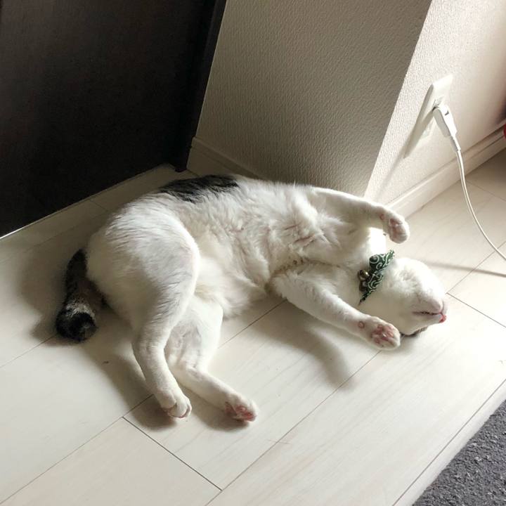 Bed1c962 009a 4549 ada2 ccb19018f944 1528152337254