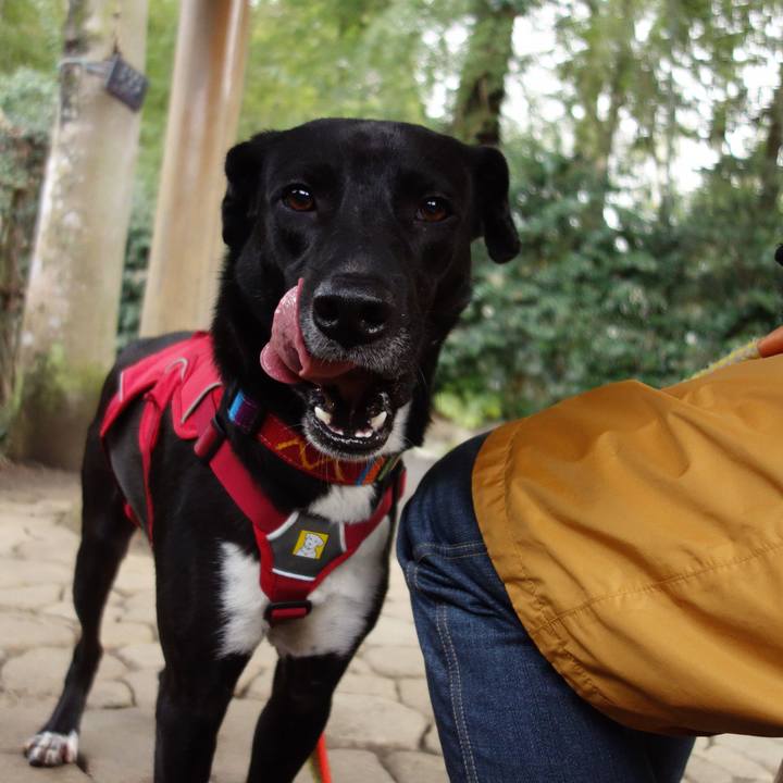 Bed223b7 960b 4216 a98a 790ec7d562ae 1583715752698