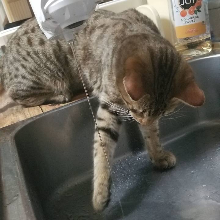 Bed27509 9e38 4aa3 ab74 fce05c2441bb 1569593897231