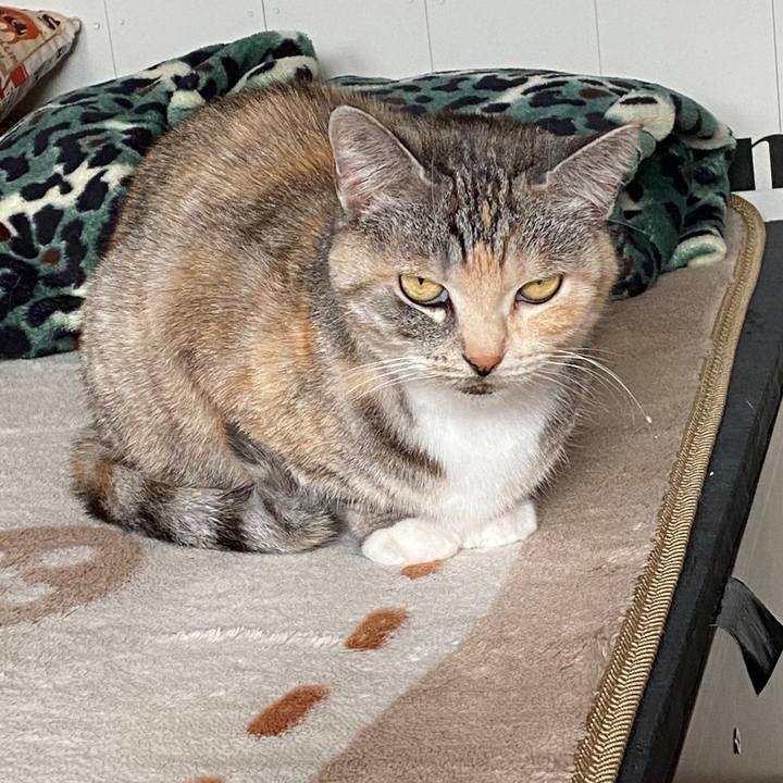 Bed280b4 06f8 4333 be2e da3c16ba07d2 1578104148952