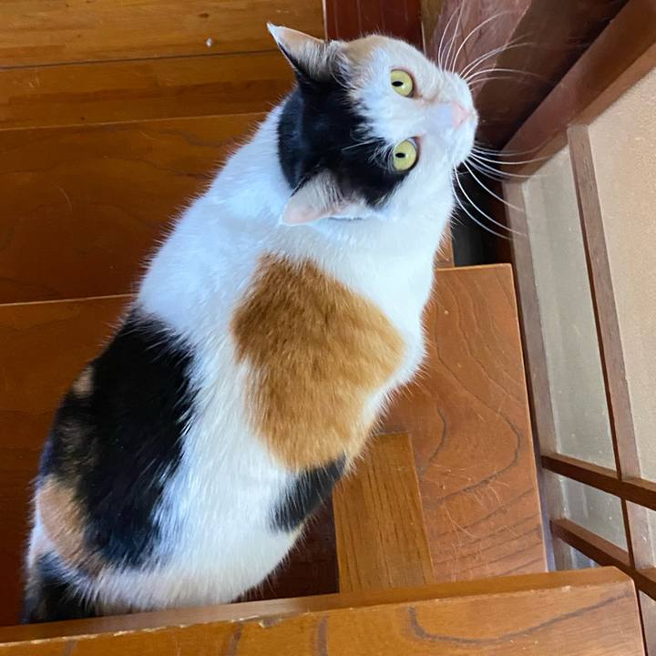 Bed29d8e 5dca 4379 8422 c10cd6abbed1 1648376925148