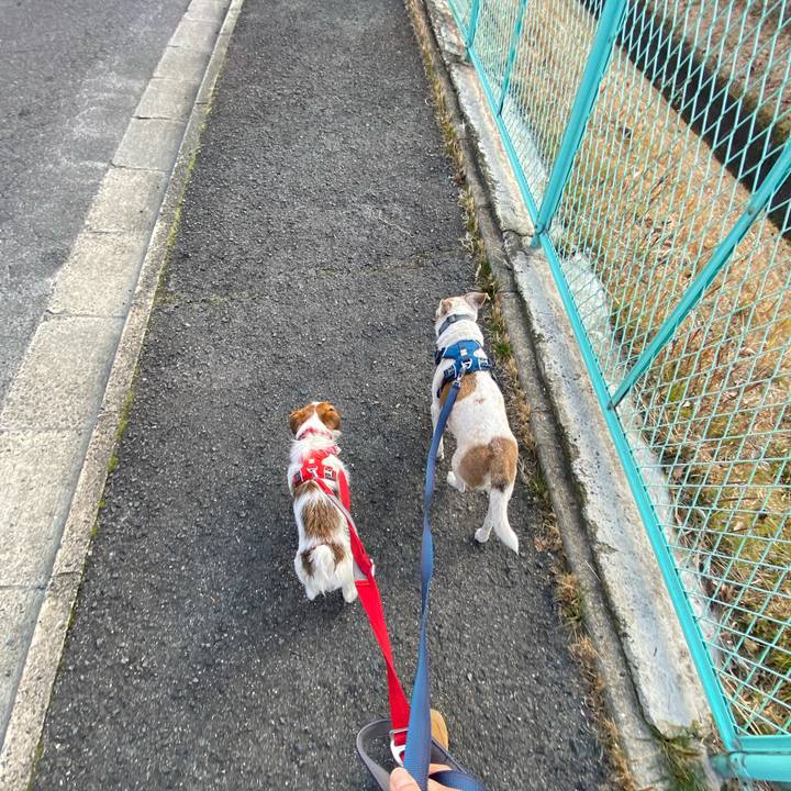 Bed2cc4d 051c 45bf 9dcb 952cd7d8d3d6 1645926414998