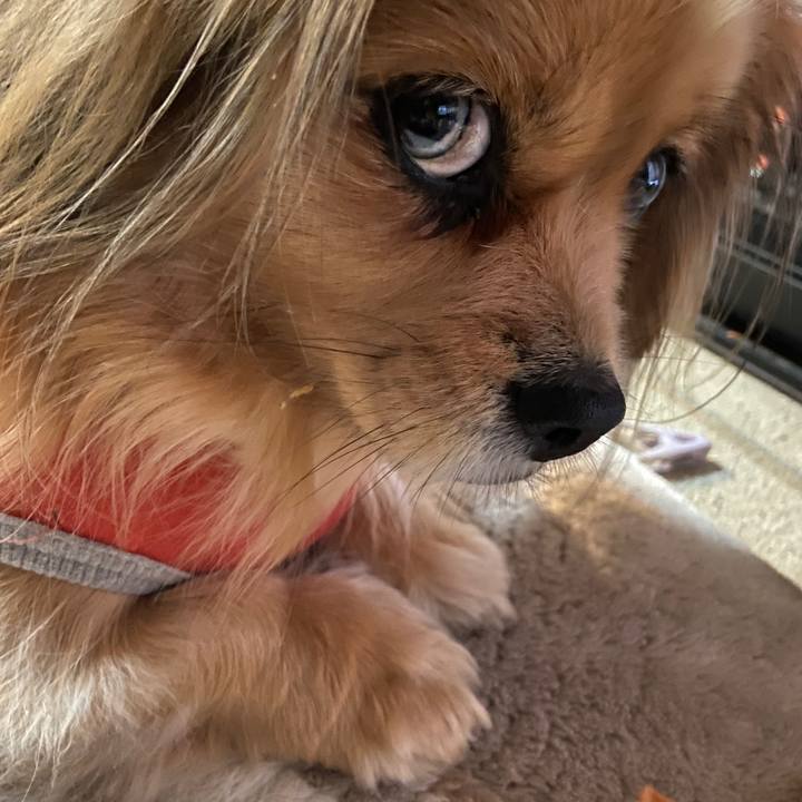 Bed2e5cc e18f 47e2 b12d 3bacde64a0d4 1644961821609