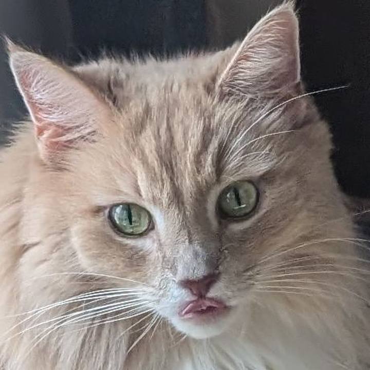 Bed2ec94 9b7d 466f 9e3f 71125c085fdb 1728801107053