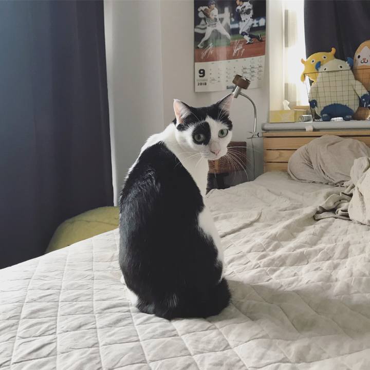 Bed3076c a275 4765 a762 d365f3da505c 1538087638860