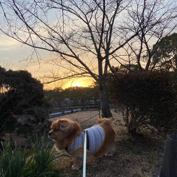 Bed30cac c47d 4565 90d4 34a6f2982f30 1614377258636