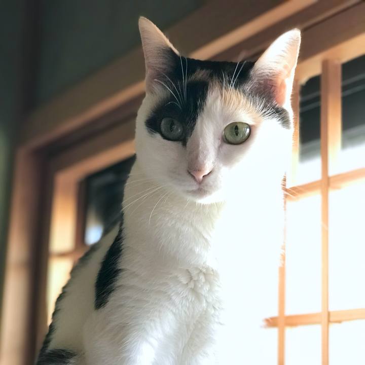 Bed317c6 fe0d 4fe7 a52a fef758d76544 1535677775998