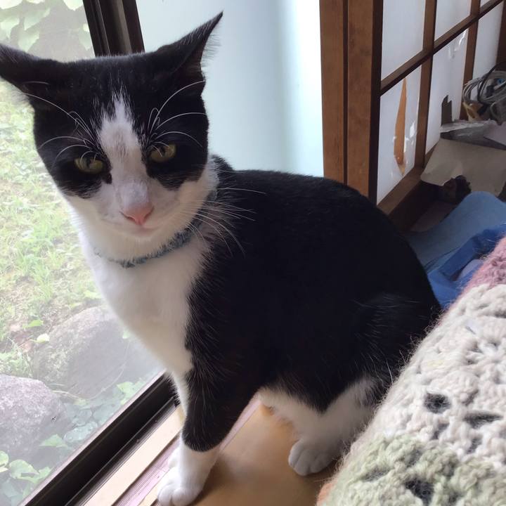 Bed3472e c37c 4650 8e22 4c51042062ee 1662630365934