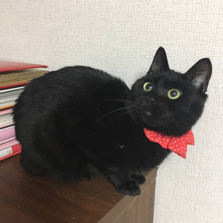 Bed349cd 22a2 4ef1 afb1 ad7c11afd8ab 1547645249888