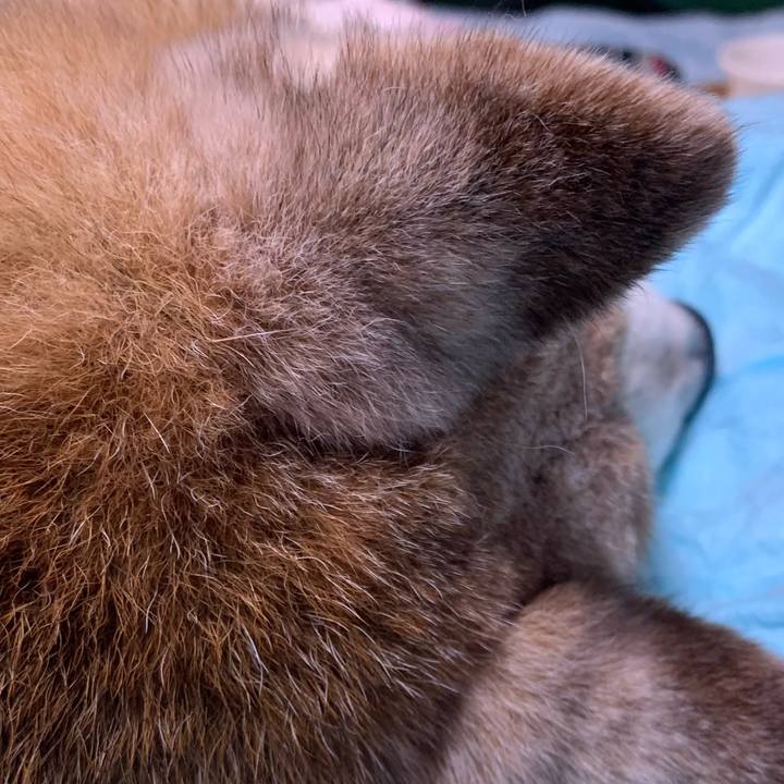 Bed36816 b4f8 4cd8 9c9a 8e2d16c86f62 1700559686580