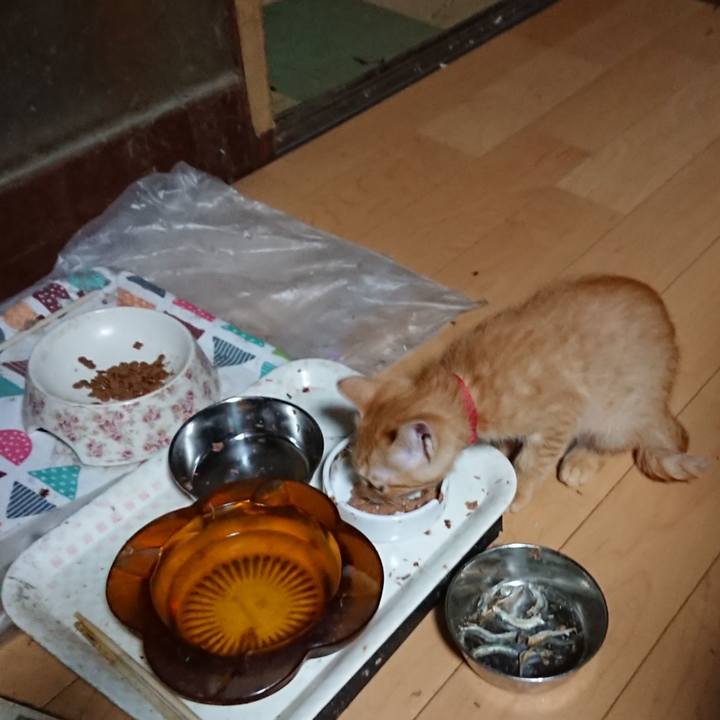 Bed39bbe df2c 4935 bd76 90a00244d4f1 1631564710634