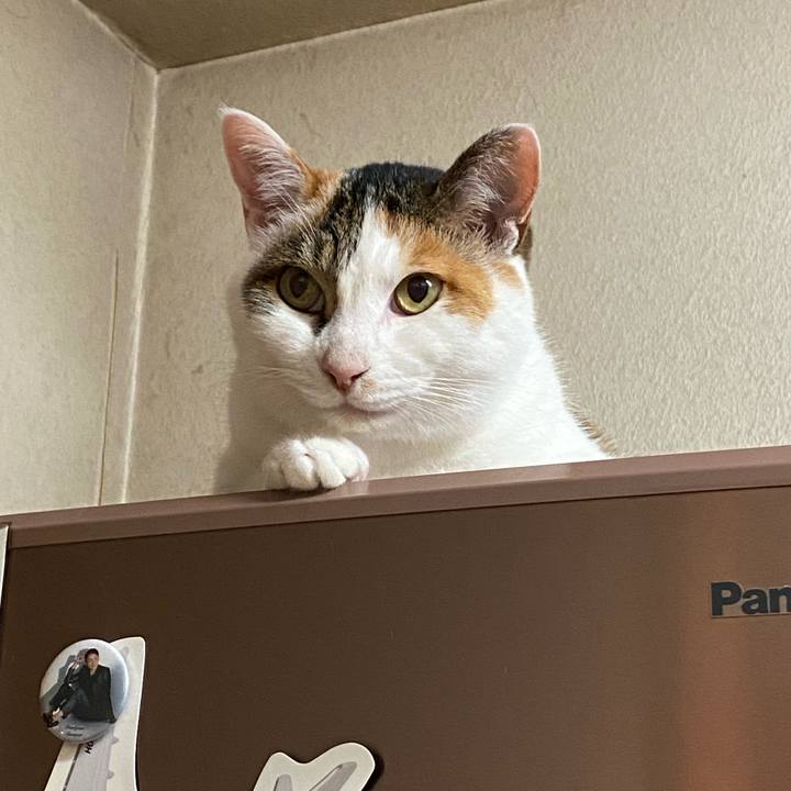 Bed3a8e9 aac6 48f0 b982 a81ee140703c 1782472582766