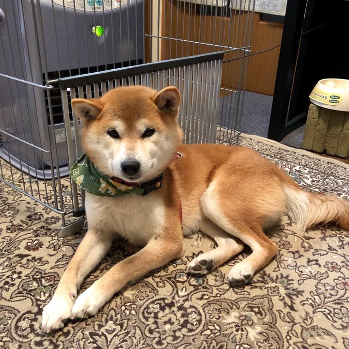 Bed3acde 8577 4e09 a91e 34f41e944574 1548670469251