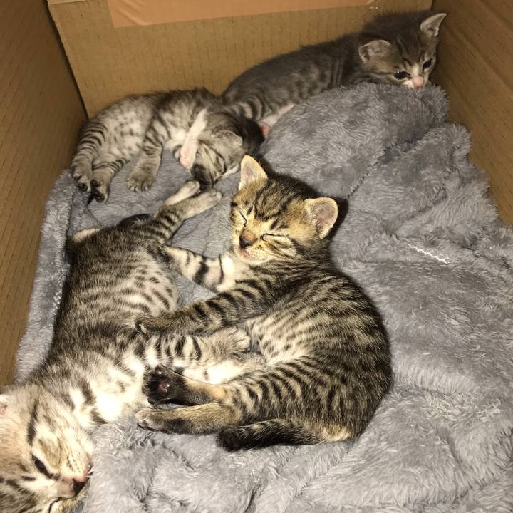 Bed3beb5 af76 4c0d ab4d 4a7a6bc3245a 1558782576525