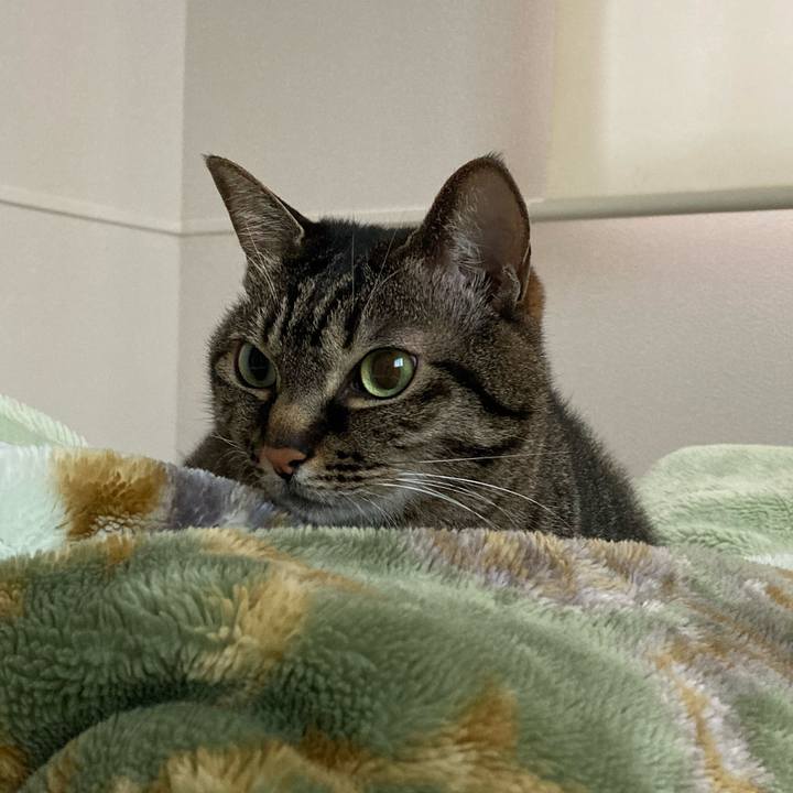 Bed3c32c a8d0 4127 aadd 244c562b3c54 1648809072392