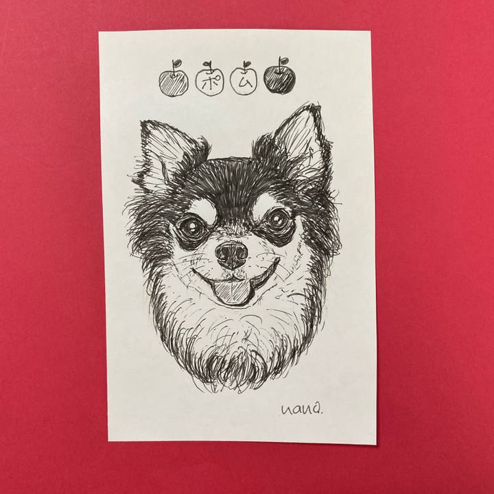 Bed3c7dc 223e 4fb2 8b12 764e8e9d3925 1637045317418