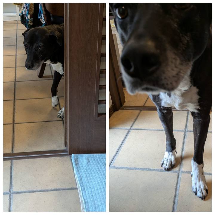 Bed3e2e7 55a8 4abc b336 5642c8a0b990 1745555558713